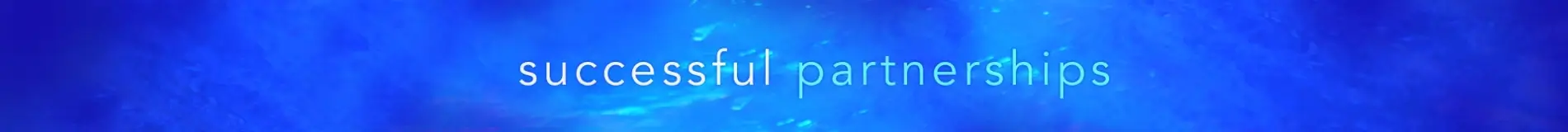 Successful Partnerships with Strong Spas