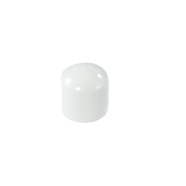 1" PVC Cap