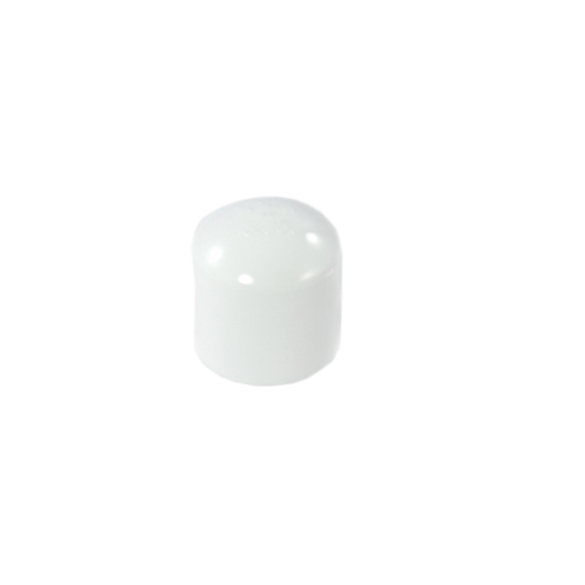1" PVC Cap