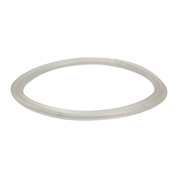 Waterway 1" Valve Gasket
