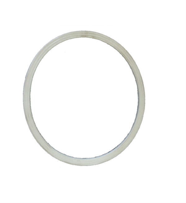 Waterway Canister Gasket (50 Sq Ft Canister)