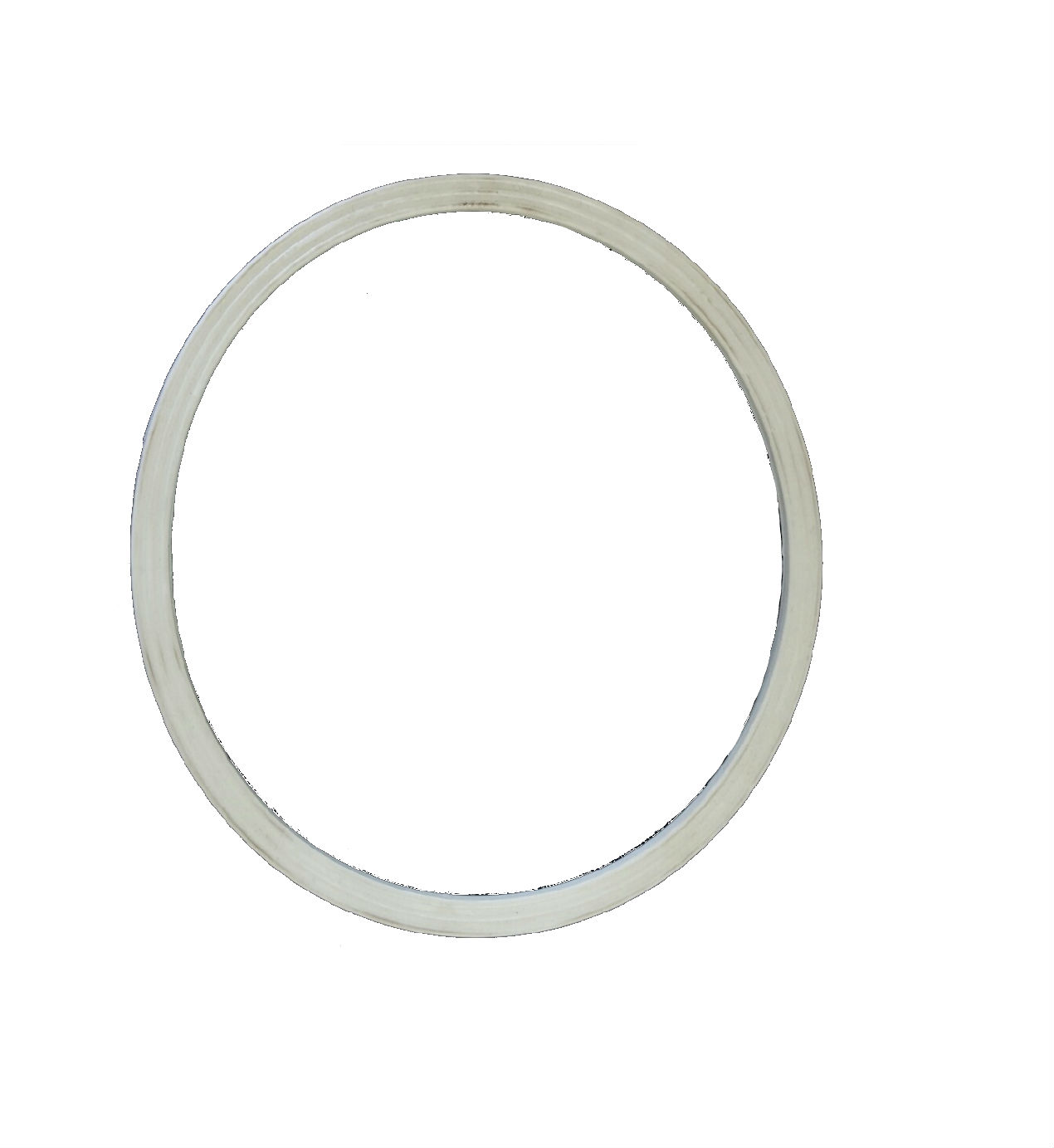 Waterway Canister Gasket (50 Sq Ft Canister)