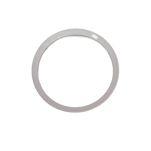 Waterway Canister Alignment Ring (50 Sq Ft Canister)